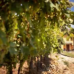 Vinory - Tenuta Il Sogno