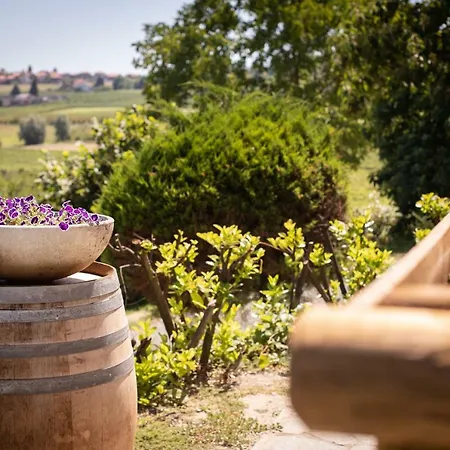 Willa Vinory - Tenuta Il Sogno San Marzano Oliveto