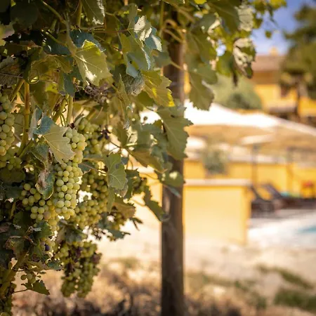 Vinory - Tenuta Il Sogno فيلة San Marzano Oliveto