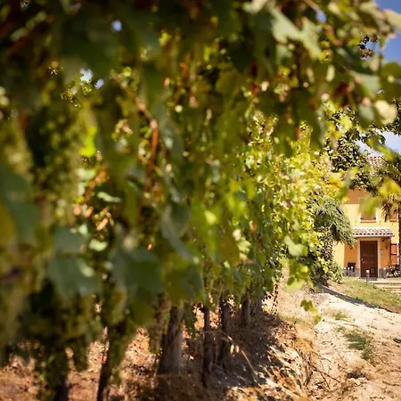 Vinory - Tenuta Il Sogno