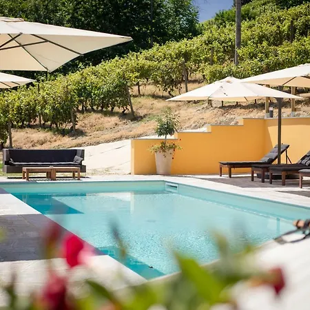 Villa Vinory - Tenuta Il Sogno *