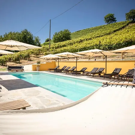 Vinory - Tenuta Il Sogno * San Marzano Oliveto