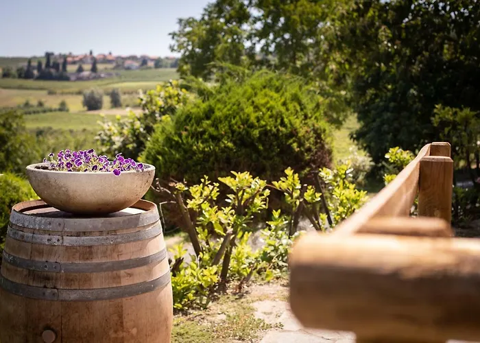 Villa Vinory - Tenuta Il Sogno San Marzano Oliveto