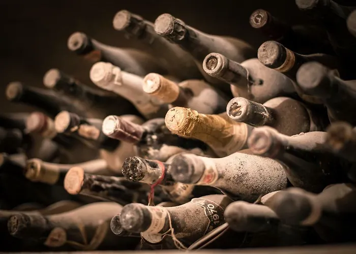 Vinory - Tenuta Il Sogno *