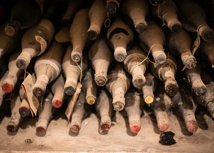 Villa Vinory - Tenuta Il Sogno San Marzano Oliveto