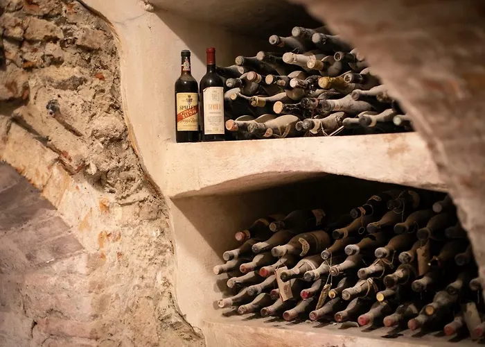 Villa Vinory - Tenuta Il Sogno San Marzano Oliveto